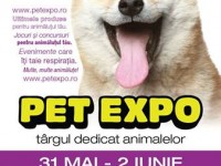 Pet-expo