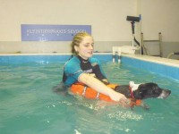 hidroterapia