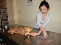 roux