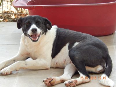 Bernice 2